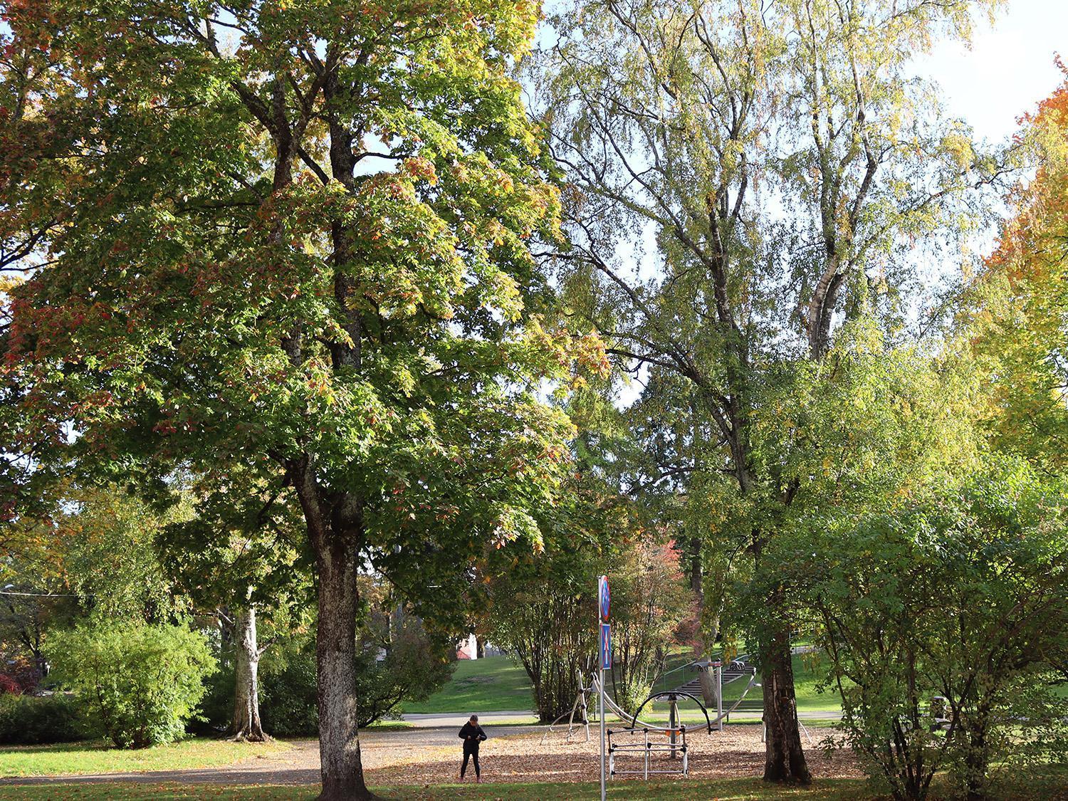 Hostel Louna Pärnu Esterno foto